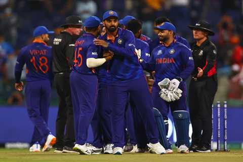 Brutal stand revives India's World Cup chances