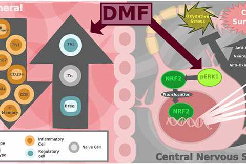 Dimethyl fumarate for Primary Progressive MS? Is it all just MS