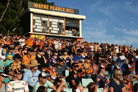 ‘Just go out every week and have a crack. That’s all we ask’: What it’s like to be a Tigers fan