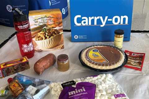 Flying with your feast? Here’s what Thanksgiving foods TSA says you can carry-on (and what must be..