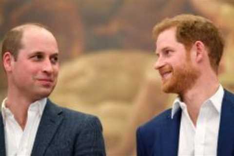 The royal family has issued an extremely rare statement on behalf of Prince Harry and Prince William