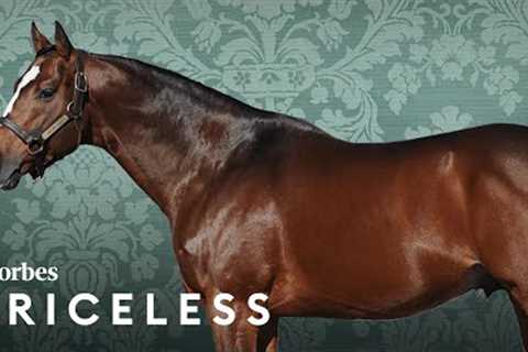 How Much Is This Billionaire-Owned Thoroughbred Horse Farm Worth? | Forbes Priceless Podcast Ep. 1