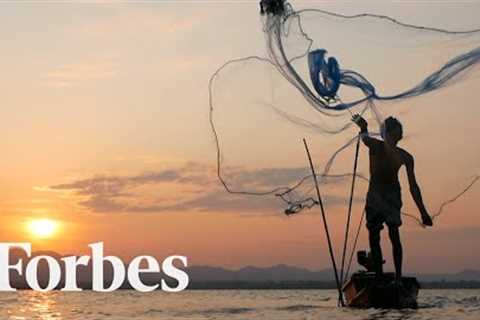 How The Multibillion Dollar Commercial Fishing Industry Robs Coastal Indigenous Communities | Forbes