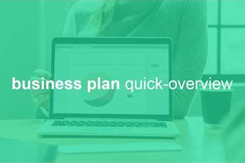 business plan quick overview