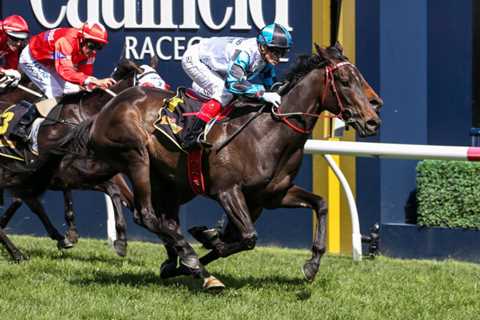 Memsie Stakes Day: Group 1 tips and preview