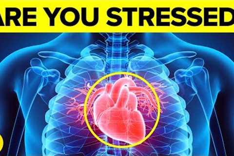 What Happens To Your Body When You’re Stressed