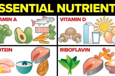 9 Most Essential Nutrients And Why They Are Important