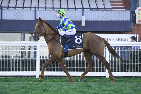 Rupert Clarke Stakes Day: Group 1 preview and tips
