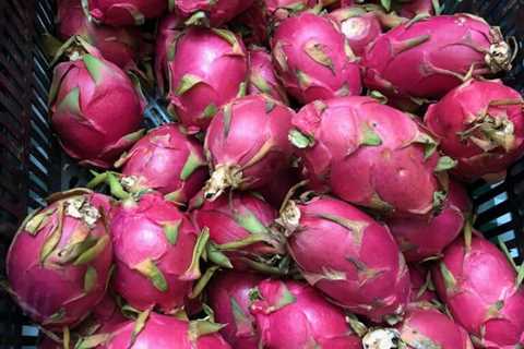Try these 5 Unusual Fruits & Vegetables Now!