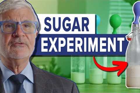 How Sugar affects your gut (Science Experiment) - Gundry MD