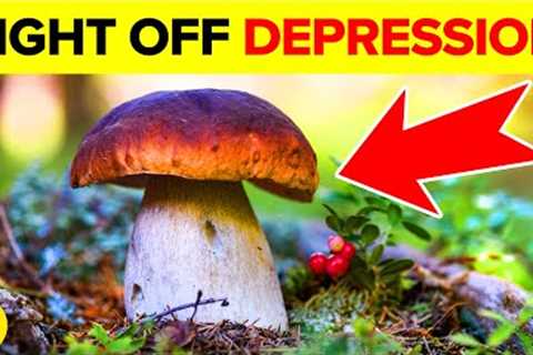 These “Magic Mushrooms” Can Help Fight Your Depression, Here’s How!