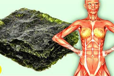 Eating Seaweed Everyday Will Do This To Your Body