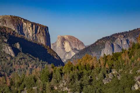 Reservation requirements and maxed-out capacity: Here’s what to know before your next national park ..