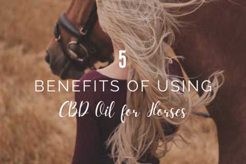 5 Benefits of Using CBD Oil for Horses