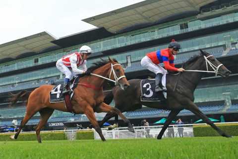 The day’s finally here: Turnbull Stakes tips and preview