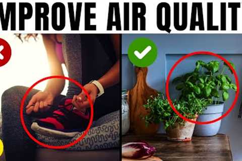 17 Effective Ways To Improve Air Quality In Your Home