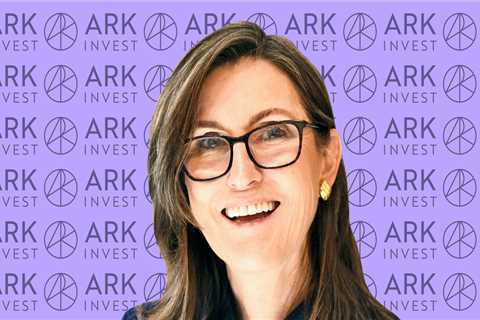 Cathie Wood said Robinhood is the closest thing to a meme stock Ark Invest has ever owned - and..