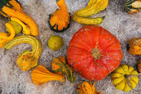 The Verdict on the Best Fall Foods for Weight Loss