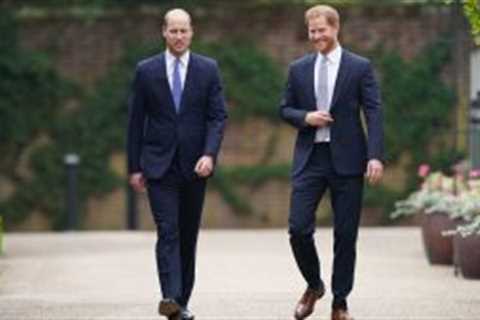 Prince William just gave a sweet nod to Prince Harry amidst their ongoing rift