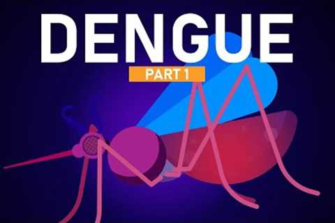Dengue Explained in 5 Minutes