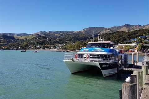 Cruise Trip to Akaroa New Zealand? Top 10 Things to Do in Akaroa
