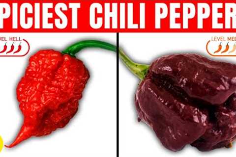 5 Spiciest Chili Peppers In The World!