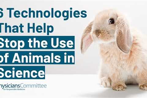 Six Technologies That Help Stop the Use of Animals in Science
