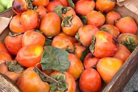 Top 5 Ways to Use Persimmons