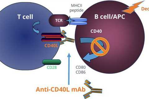 T time …..Another way that influences of T cells inhibit MS?..or is it T blinker time?