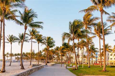 Deal alert: Escape to sunny Florida this winter for less than $100 round-trip