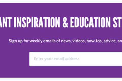 Email Campaigns: Create The Best Nonprofit Newsletter!