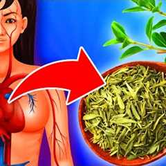 9 POWERFUL Health Benefits Of Thyme