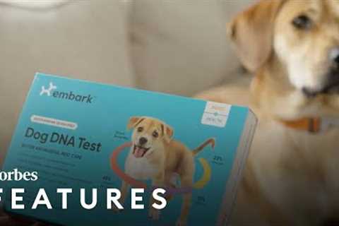 This Next Billion Dollar DNA Company Will Test Your Dog For A Healthier Life | Forbes