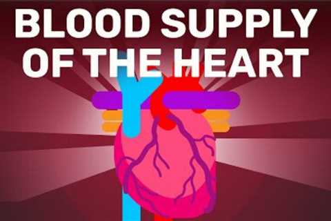 The Clever Supply of Blood to The Heart | Physiology