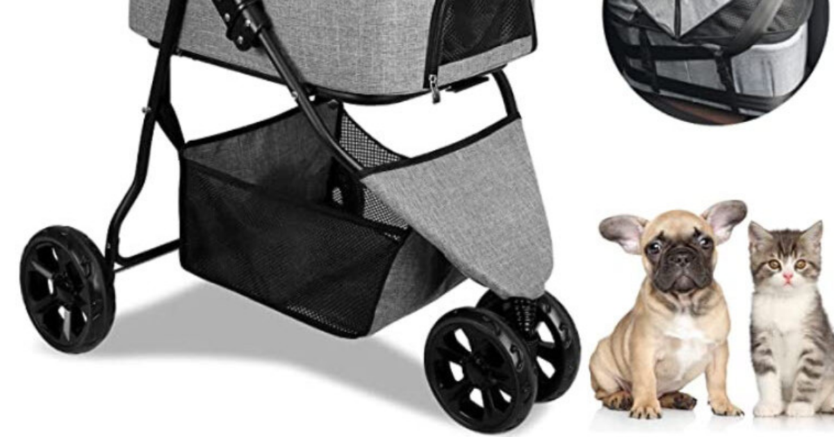 The 11 Best Cat Strollers For Transporting Your Furry BFFs