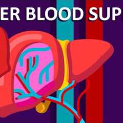 Liver Blood Supply
