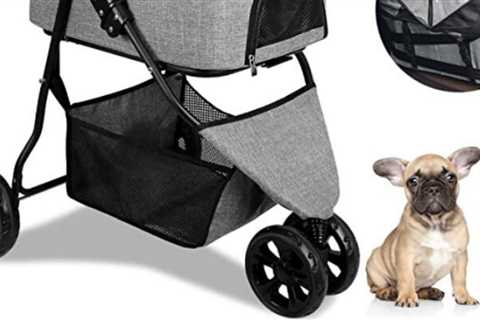 The 11 Best Cat Strollers For Transporting Your Furry BFFs